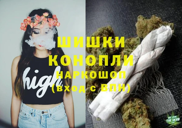 jwh Снежногорск