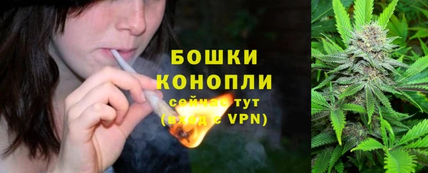 jwh Снежногорск
