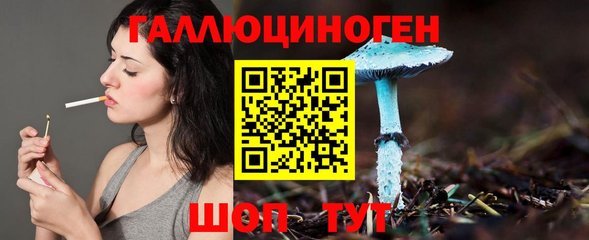 Новочебоксарск  Галлюциногенные грибы Magic Shrooms  где продают   Вход с VPN 