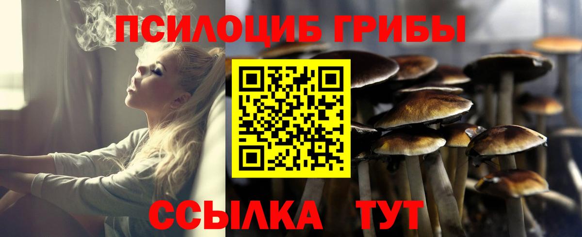 Псилоцибиновые грибы ЛСД Новочебоксарск